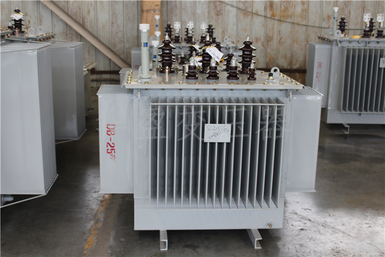 内江S20-800kVA/10kV/0.4kV变压器